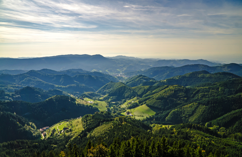 Schwarzwald - Panorama