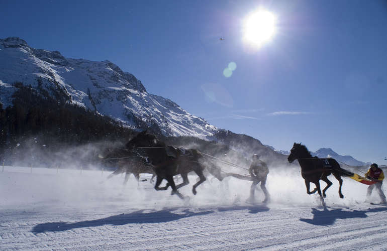 Südtirol - Skijöring - Hafling